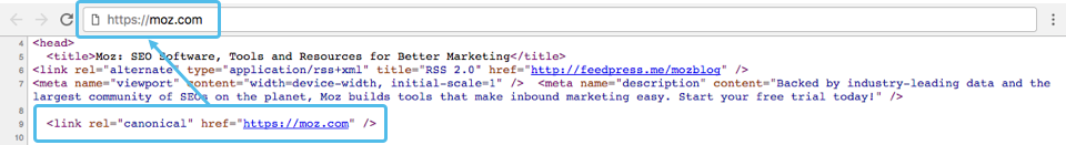 canonical-tag-home-pag